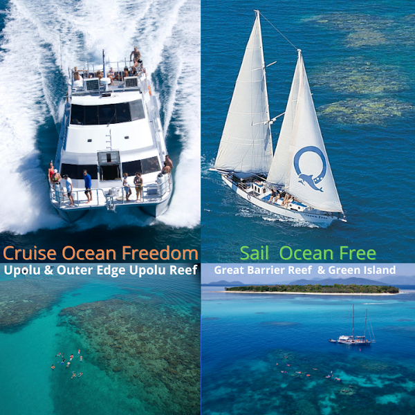 Ocean Free & Ocean Freedom - Cairns Premier Great Barrier Reef & Island Tours 1