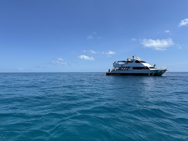 Ocean Free & Ocean Freedom - Cairns Premier Great Barrier Reef & Island Tours 4