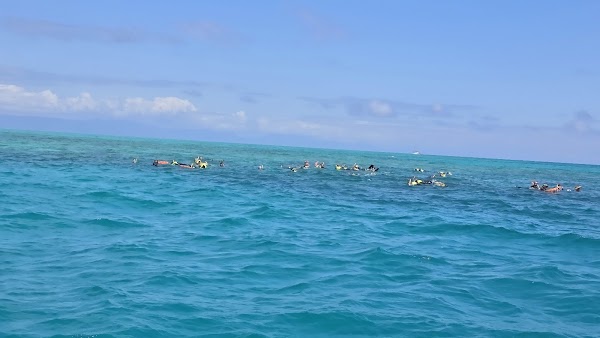 Ocean Free & Ocean Freedom - Cairns Premier Great Barrier Reef & Island Tours 3