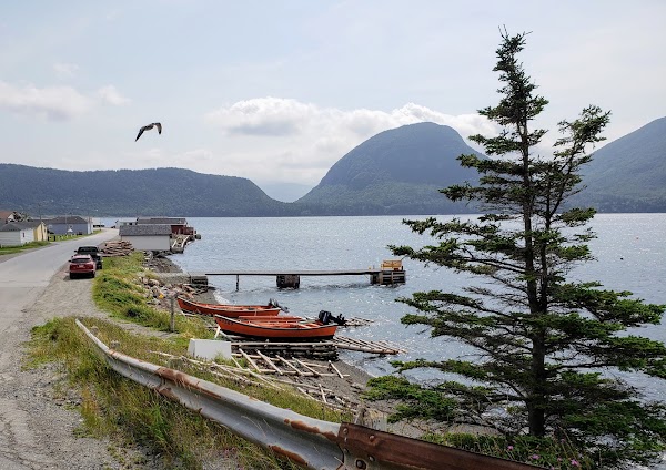 Lark Harbour