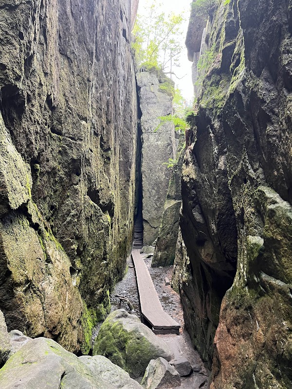 Stołowe Mountains National Park 2