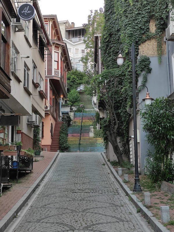 Beyazgül Sokak 1