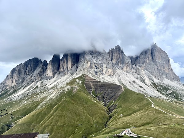 Sella group 1