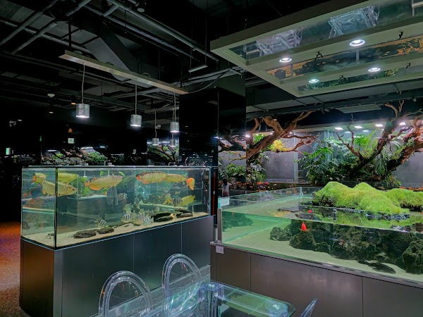 Aqua Garden Cafe - Gapyeong Branch 4