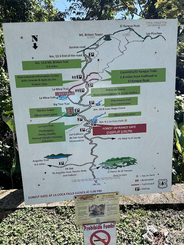Cascada La Coca 2