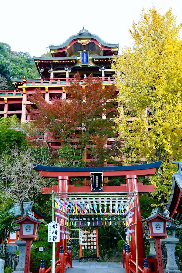 Yūtoku Inari Shrine 4