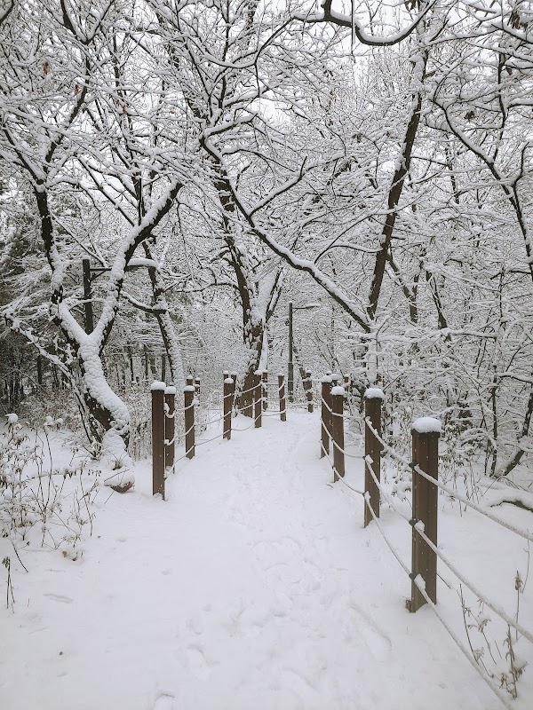 University of Seoul 1