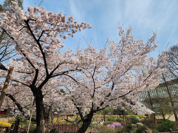 University of Seoul 5