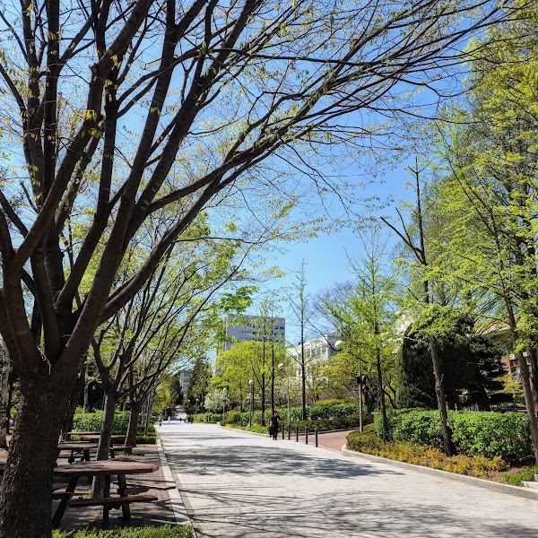 University of Seoul 2