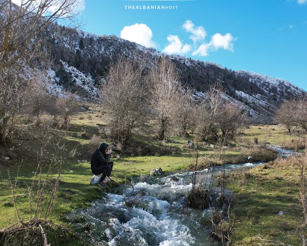 Nivicë