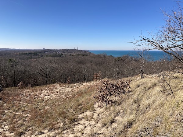Mt Tom
