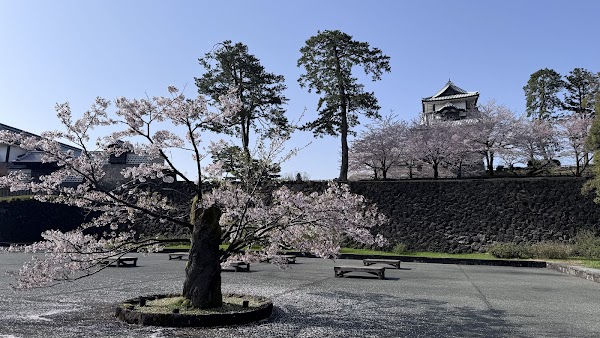 Kanazawa Castle 4