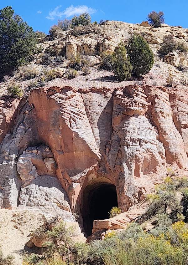 The Belly of the Dragon 4