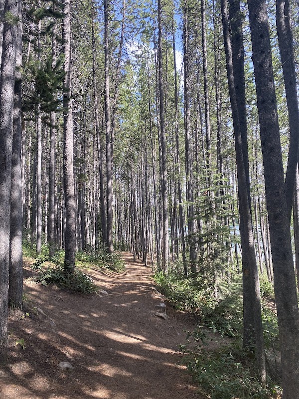 Herbert Lake 5
