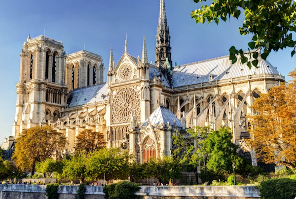 Cathédrale Notre-Dame de Paris 5