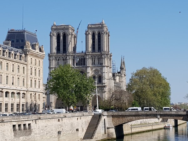 Cathédrale Notre-Dame de Paris 4