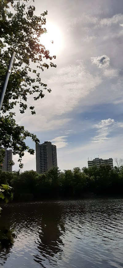 The Glebe