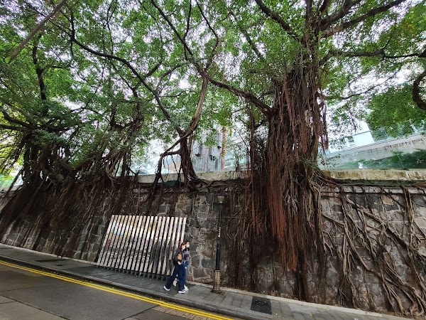 Hollywood Road 3