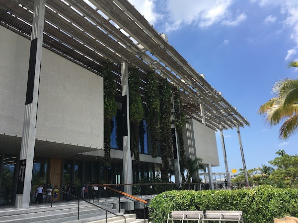 Pérez Art Museum Miami 5