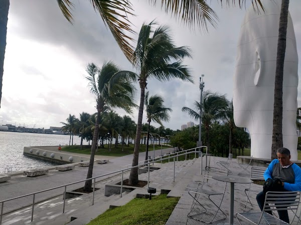 Pérez Art Museum Miami 4