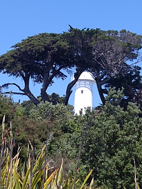 Tiritiri Matangi Lighthouse 4