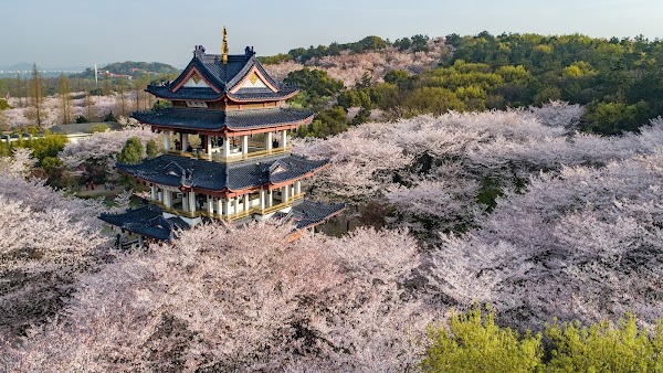 Taihu Yuantouzhu Scenic Area （Southwest Gate）