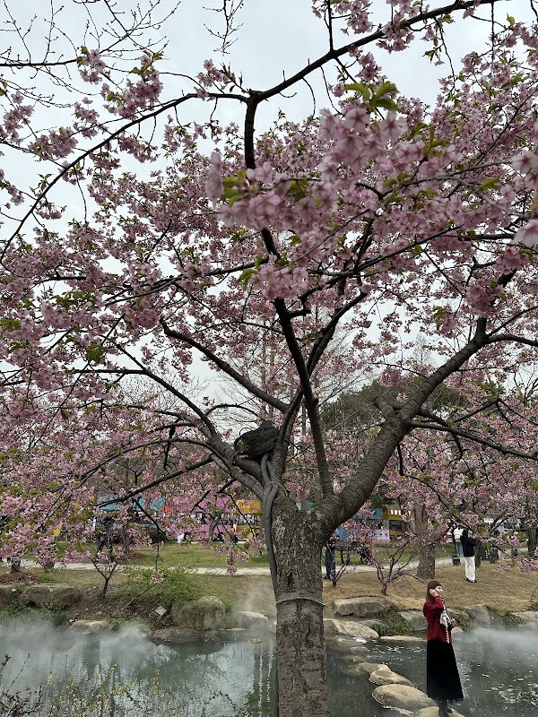 Taihu Yuantouzhu Scenic Area （Southwest Gate） 5