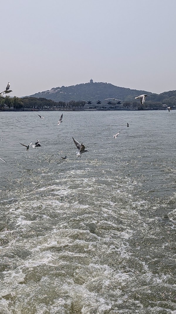 Taihu Yuantouzhu Scenic Area （Southwest Gate） 3