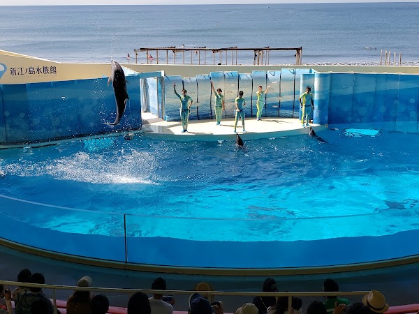 Kanagawa Prefectural Shonan Coast Park 2