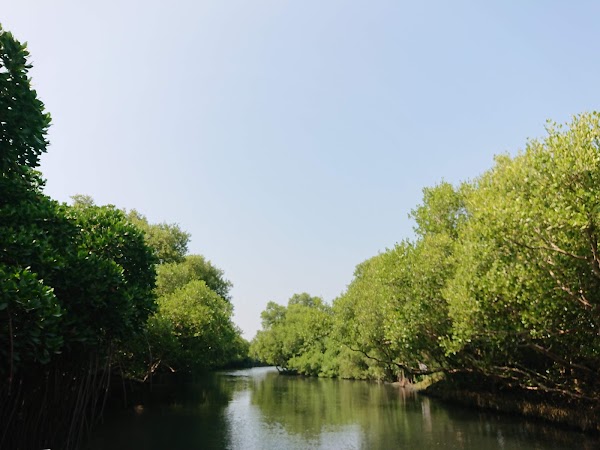 Taijiang National Park 5