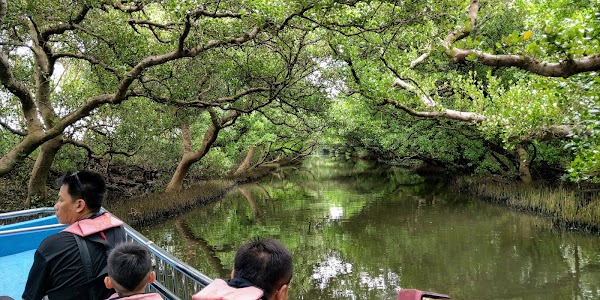 Taijiang National Park 3
