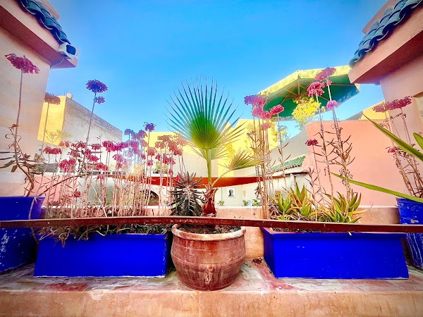 Riad Bonheur Marrakech 1