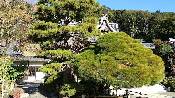 Izu 5