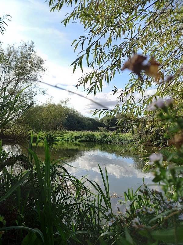 River Cherwell 3