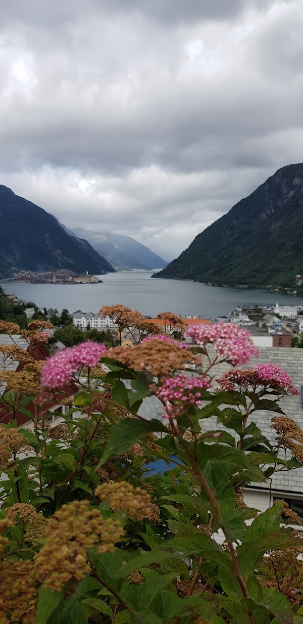Sørfjorden 2
