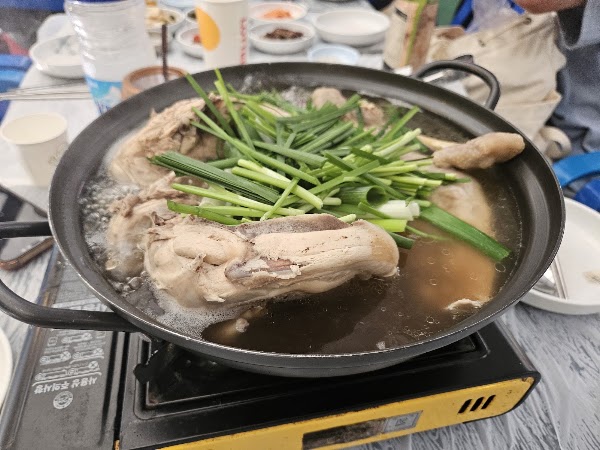 미루나무집 5