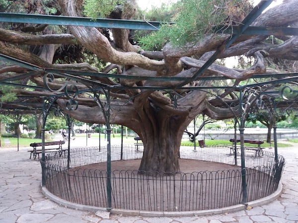 Principe Real garden 3