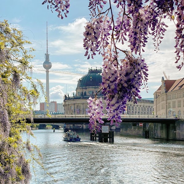 Berlin 4