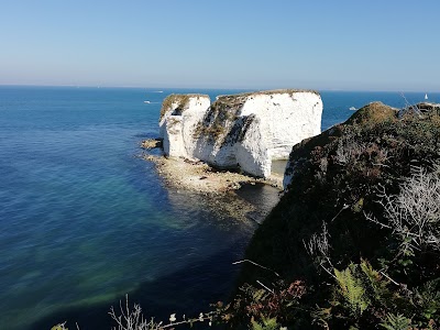Studland