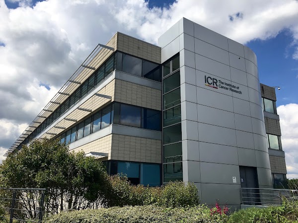 The Institute of Cancer Research, London 4