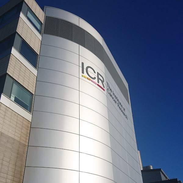 The Institute of Cancer Research, London 3