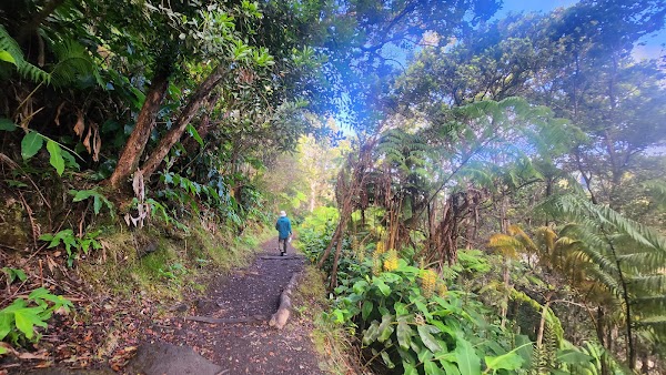 Kīlauea Iki Trailhead 3