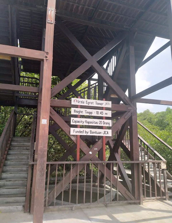 Mangrove Forest Management Center Region I 3