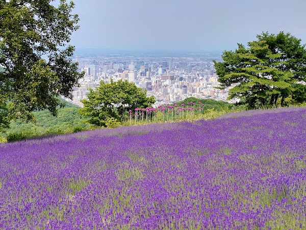 幌見峠 5