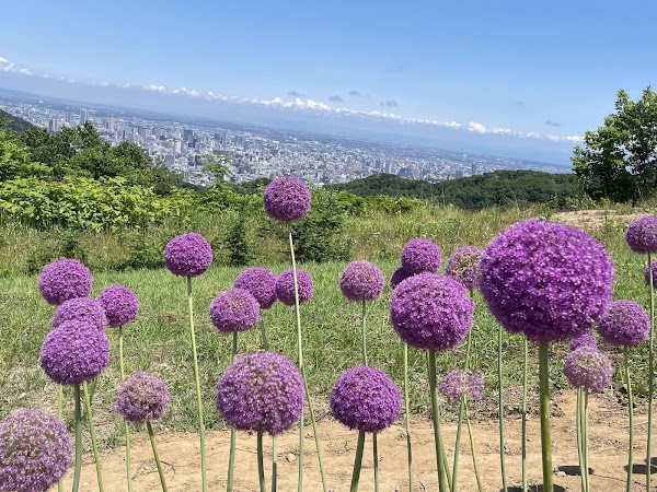 幌見峠 3