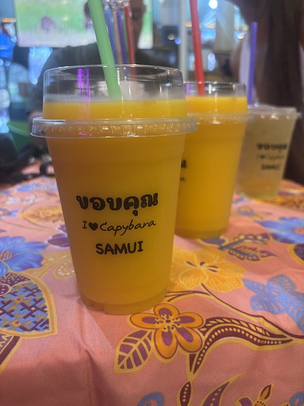 Capybara Coffee Samui 5