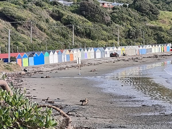 Titahi Bay Beach 3