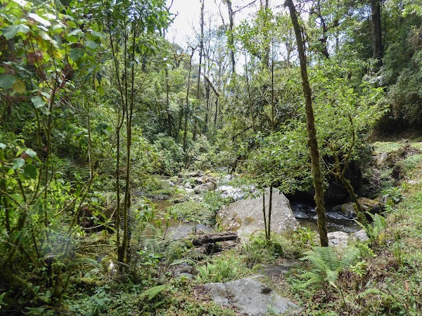 Sendero Los Quetzales - East Trailhead 5