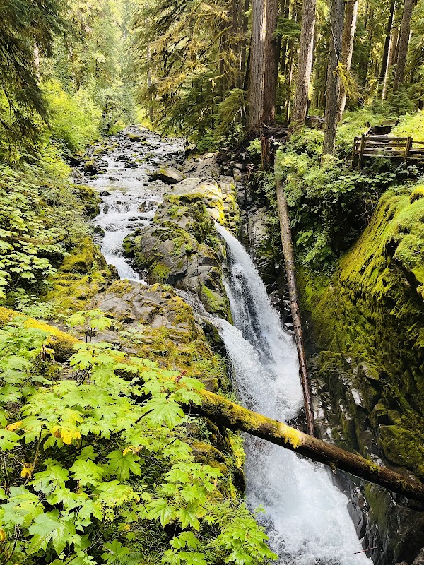Sol Duc Falls Nature Trail 1