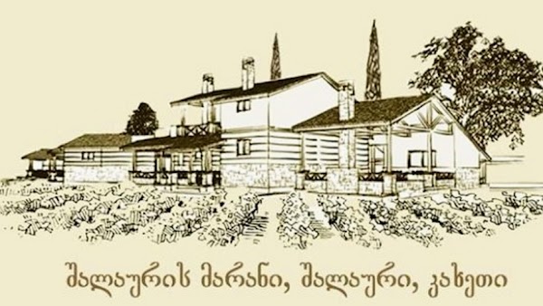 Shalauri Wine Cellar • შალაურის ღვინის მარანი